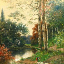 A pond in the forest